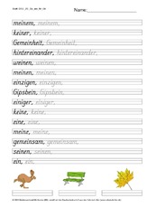 DSS_2S_Bu_ein_Nr_04.pdf